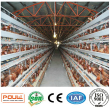 Heißer Verkauf ein Typ Schicht Geflügel Batteriekäfige für Nigeria Chicken Farm